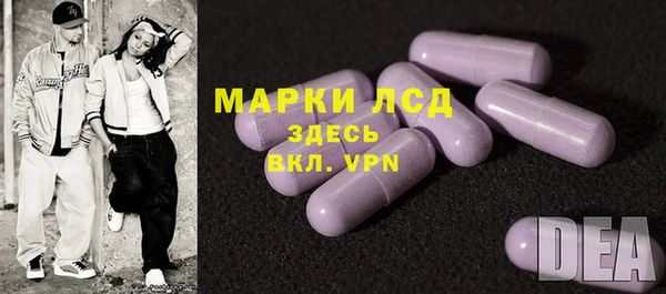 соль ск Богданович