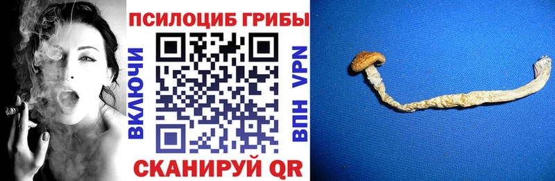 Галлюциногенные грибы мицелий  Волжск 