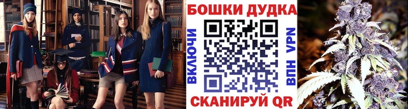 Шишки марихуана планчик  купить   Волжск 